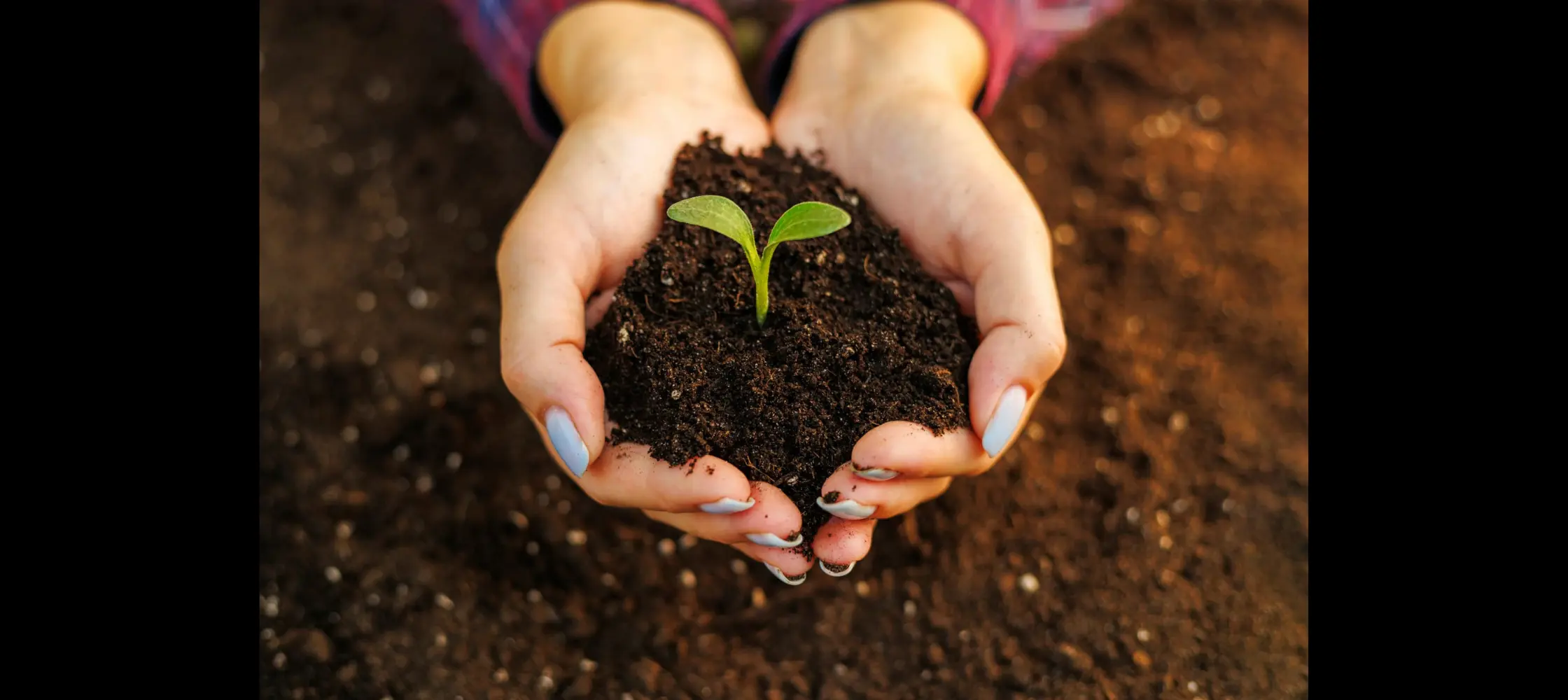 World Soil Day 2023: Date, history and significance